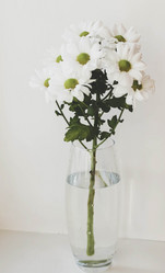 Similar image 21174431