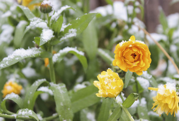 Similar image 21174440