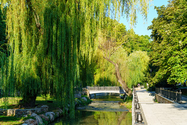 Similar image 21185095