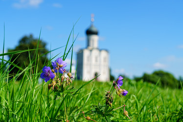 Similar image 21185102