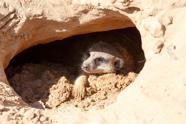 Similar image 21185125