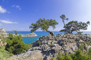 Similar image 21173749