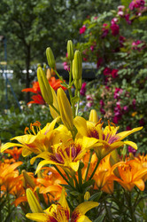 Similar image 21173756