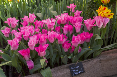 Similar image 21173757