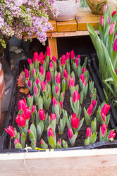 Similar image 21173758