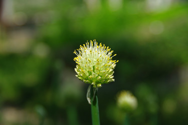 Similar image 21173759