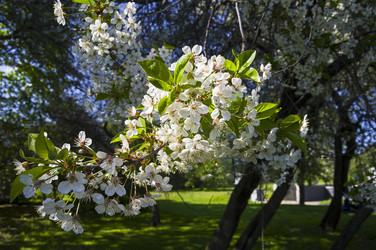 Similar image 21173760