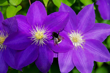 Similar image 21173762