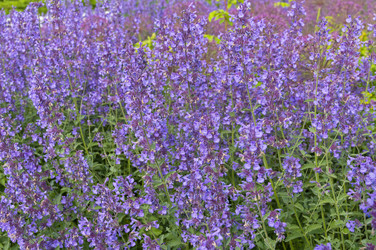 Similar image 21173763