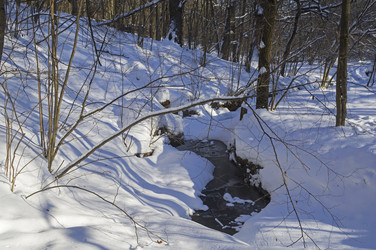 Similar image 21173765