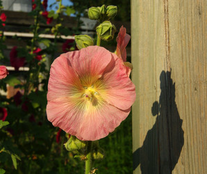 Similar image 21173766