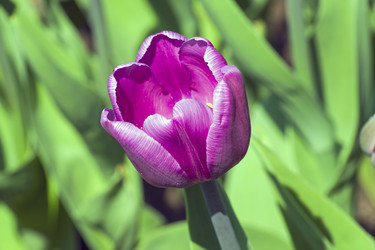 Similar image 21173770