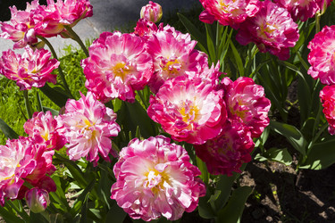 Similar image 21173773