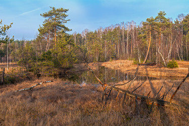 Similar image 21173776