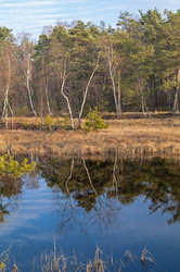 Similar image 21173778