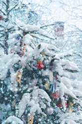 Similar image 21188440