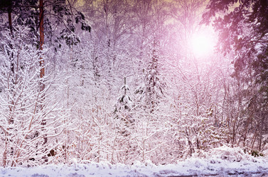 Similar image 21188441