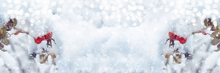 Similar image 21188442