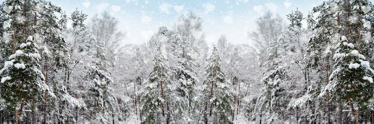 Similar image 21188449