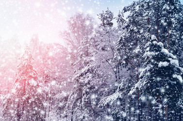 Similar image 21188450