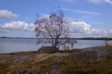 Similar image 21174723