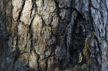 Similar image 21174734