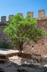 Similar image 21174746