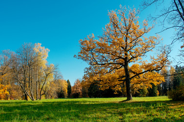 Similar image 21174755