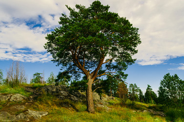 Similar image 21174761