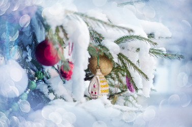 Similar image 21188453