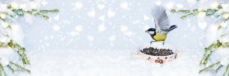 Similar image 21188459