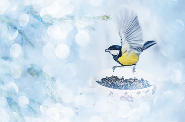 Similar image 21188461