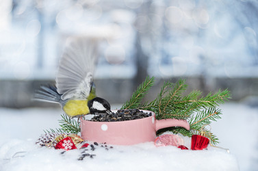 Similar image 21188462