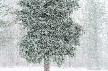 Similar image 21182199