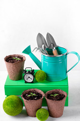 Similar image 21194528