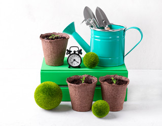 Similar image 21176617