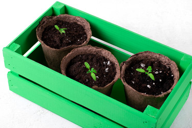 Similar image 21178091