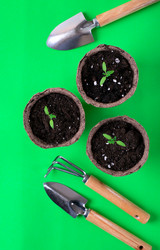 Similar image 21192007