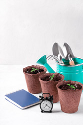 Similar image 21195344