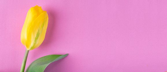 Similar image 21176633