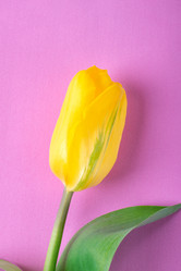 Similar image 21176634