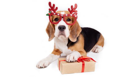 Similar image 21178859