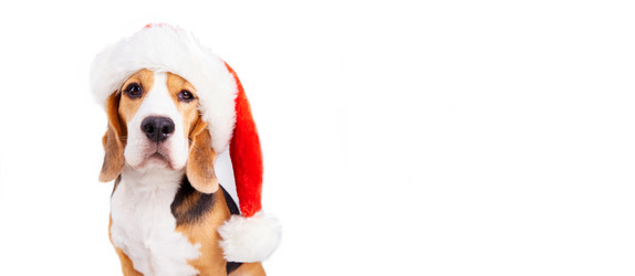 Similar image 21174489