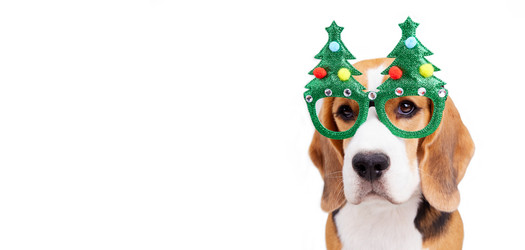 Similar image 21174490