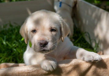 Similar image 21181484