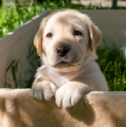 Similar image 21181485