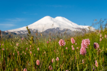 Similar image 21181505