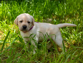 Similar image 21181515