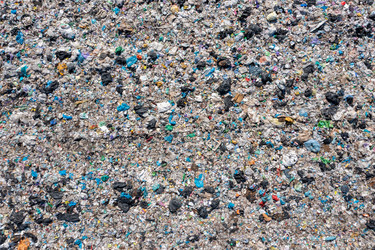 Similar image 21181519