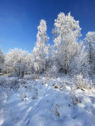 Similar image 21189910